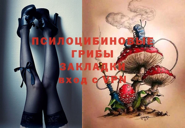 прущие грибы Богданович