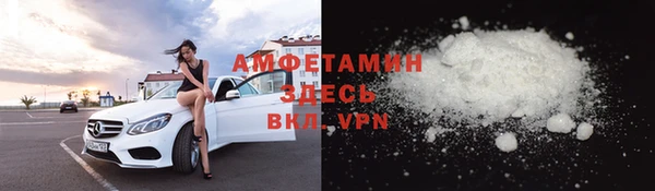 прущие грибы Богданович