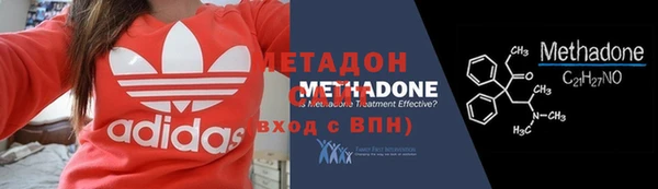 прущие грибы Богданович