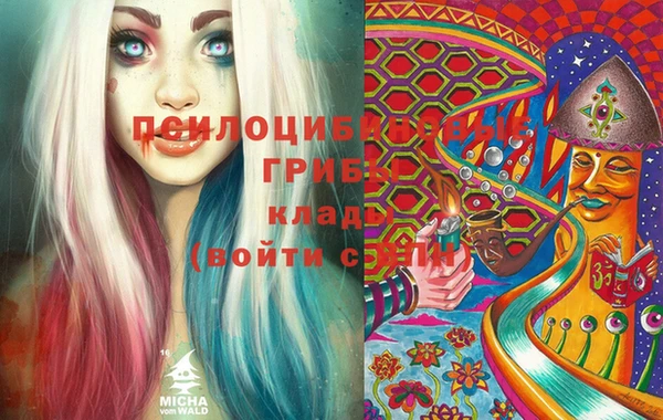 прущие грибы Богданович
