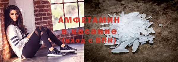 прущие грибы Богданович