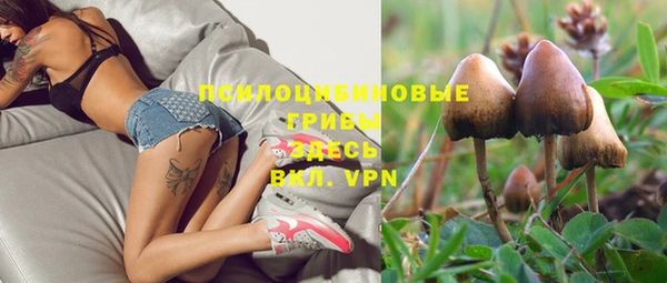 прущая мука Богородицк