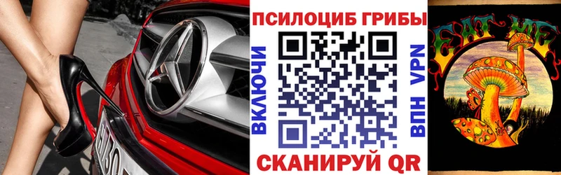 Купить где Аткарск Псилоцибиновые грибы ЛСД
